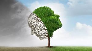 بیان امیرالمومنینع شناخت افراد در تحول روزگار